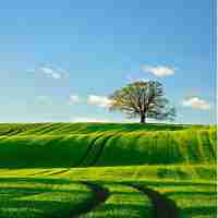 智‌能‍机​械﻿工‍程‌专﻿业​属‍于​哪‍个‍门‍类‍